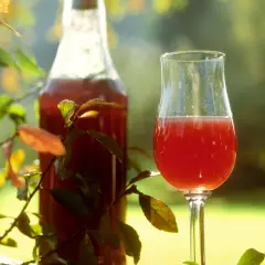 Ein Glas und eine Flasche mit tiefrotem Sloe Gin stehen im Freien, umgeben von Zweigen mit Herbstlaub.
