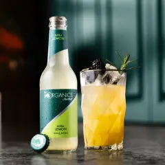 Erfrischender bitter lemon cocktail mit Brombeere und Rosmarin. Daneben eine Flasche "The Organics by Red Bull Bitter Lemon".