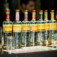 Mehrere Flaschen BARSOL Pisco stehen auf einer Theke, bereit für eine Verkostung. Was ist Pisco? Ein peruanischer Weinbrand.