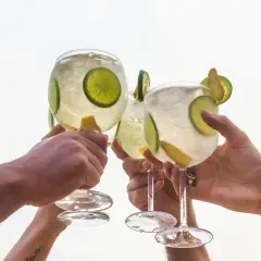 Drei Hände stoßen mit erfrischenden, herben Cocktails an, garniert mit Limettenscheiben und Zitronenspalten.