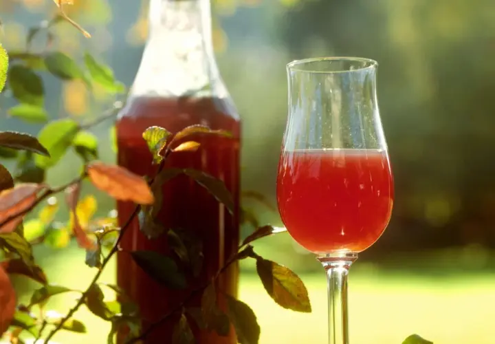 Ein Glas und eine Flasche mit tiefrotem Sloe Gin stehen im Freien, umgeben von Zweigen mit Herbstlaub.