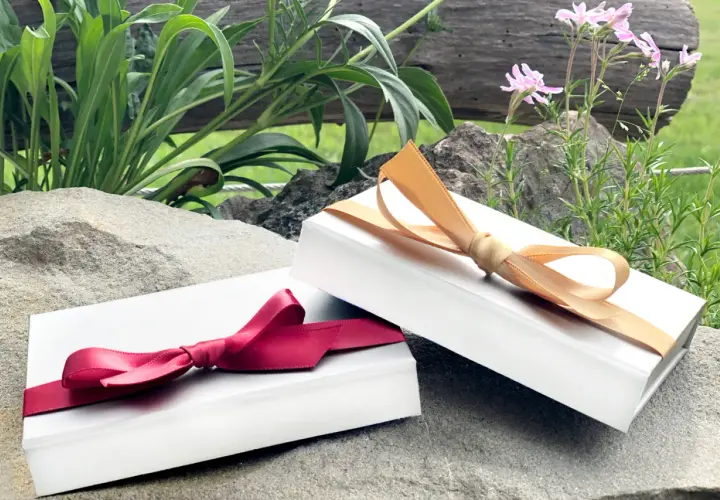 Zwei weiße Schachteln, die wie Geschenke aussehen, sind mit roten und goldenen Bändern verziert. Perfekt, um einen Gutschein in Folie zu verpacken.