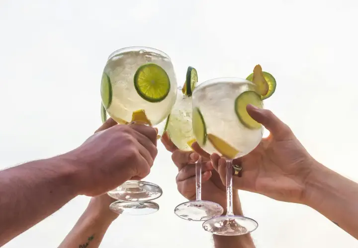 Drei Hände stoßen mit erfrischenden, herben Cocktails an, garniert mit Limettenscheiben und Zitronenspalten.