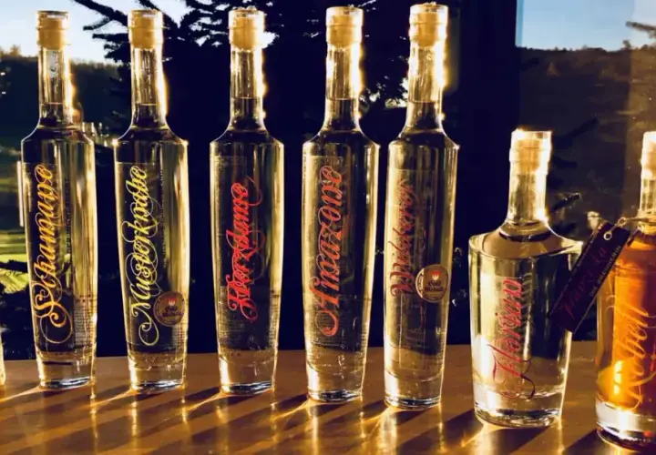Flaschen mit verschiedenen Schnäpsen und Whisky, die die Bedeutung eines Digestifs unterstreichen.