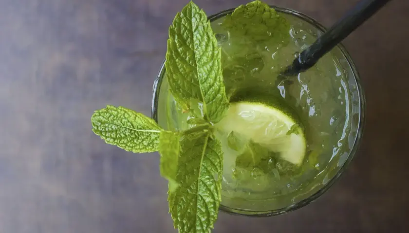 Erfrischender Mojito mit Limette, Minze und Mojito Rum. Ein perfekter Sommerdrink.