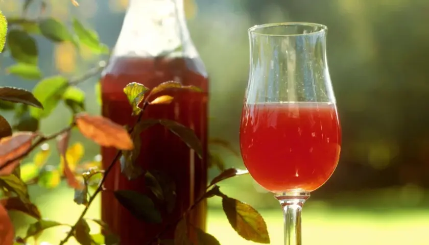 Ein Glas und eine Flasche mit tiefrotem Sloe Gin stehen im Freien, umgeben von Zweigen mit Herbstlaub.