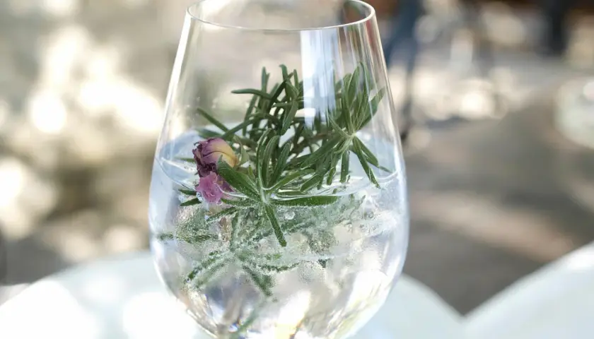 Erfrischender Gin Tonic mit Rosmarin und einer getrockneten Rose. Perfekt für den Tag des Gin Tonic.