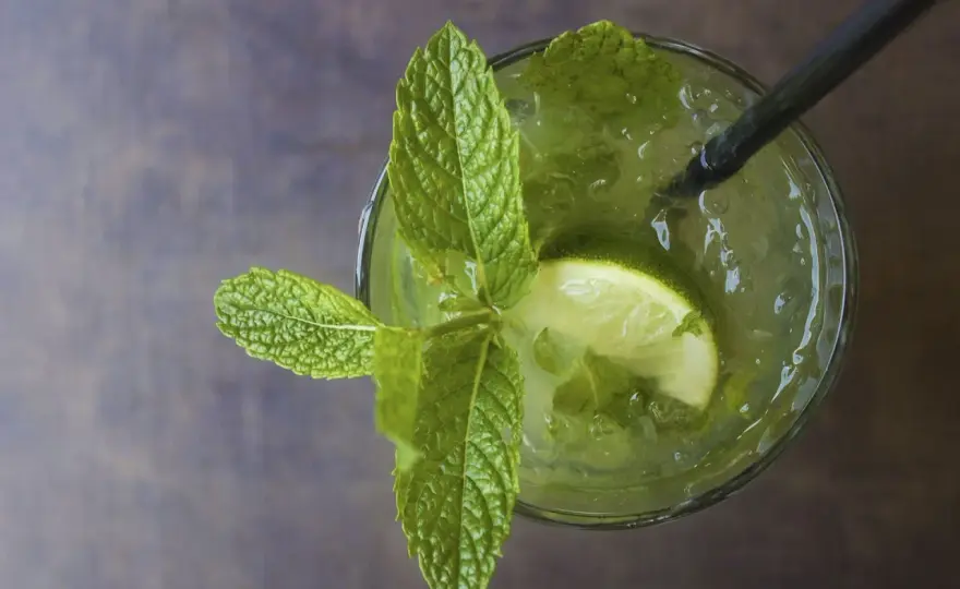 Mojito - Welcher Rum sorgt für Balance & Frische?
