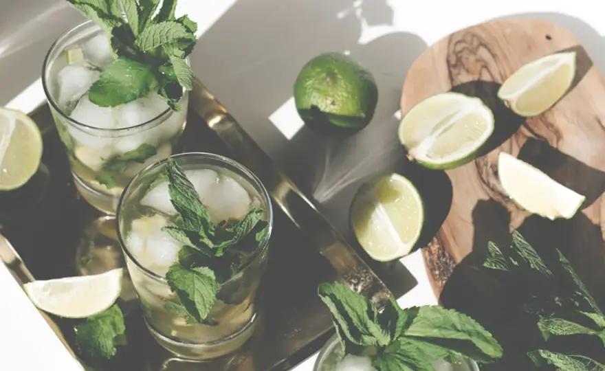 Mojito richtig zubereiten - Das Geheimnis des perfekten Drinks