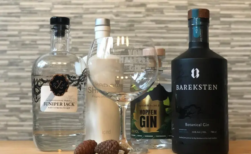 Gin Alkohol - Welcher Gin passt zu Tonic, Cocktails & Geschenken?