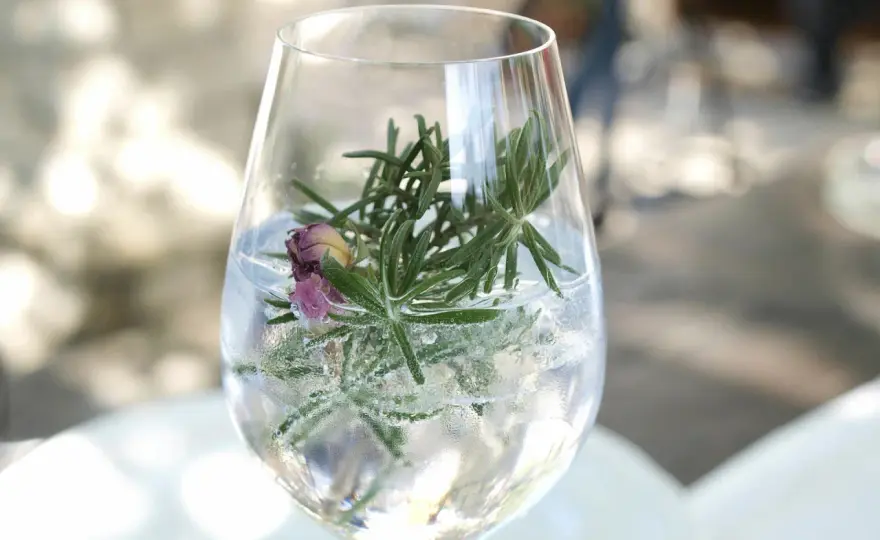 Gin-Tonic-Tag - Welcher Termin ist deiner? So feierst du richtig!