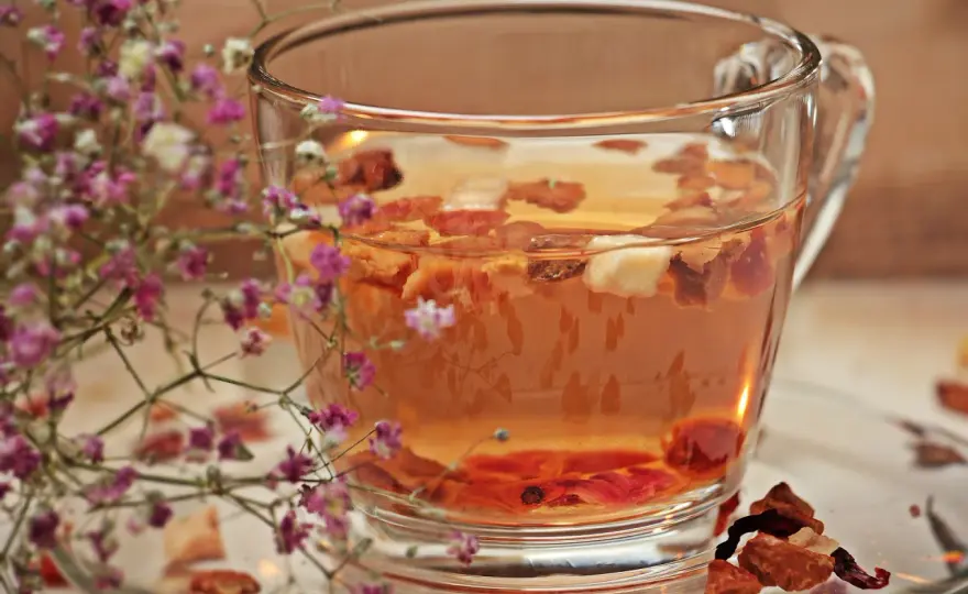 Tee mit Schuss - Nie wieder bitter! Rezepte & Tipps