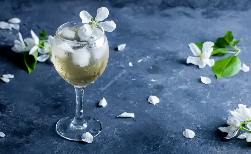 Dein perfekter Porto Tonic - Zutaten, Rezept & Fehler
