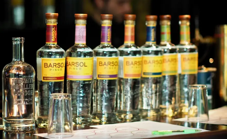 Pisco - Peru oder Chile? So wählst du den richtigen Brand