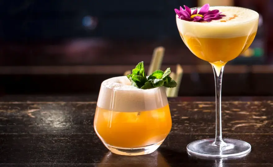 Brandy-Cocktails - Nie wieder schwer! Rezepte & Profi-Tricks