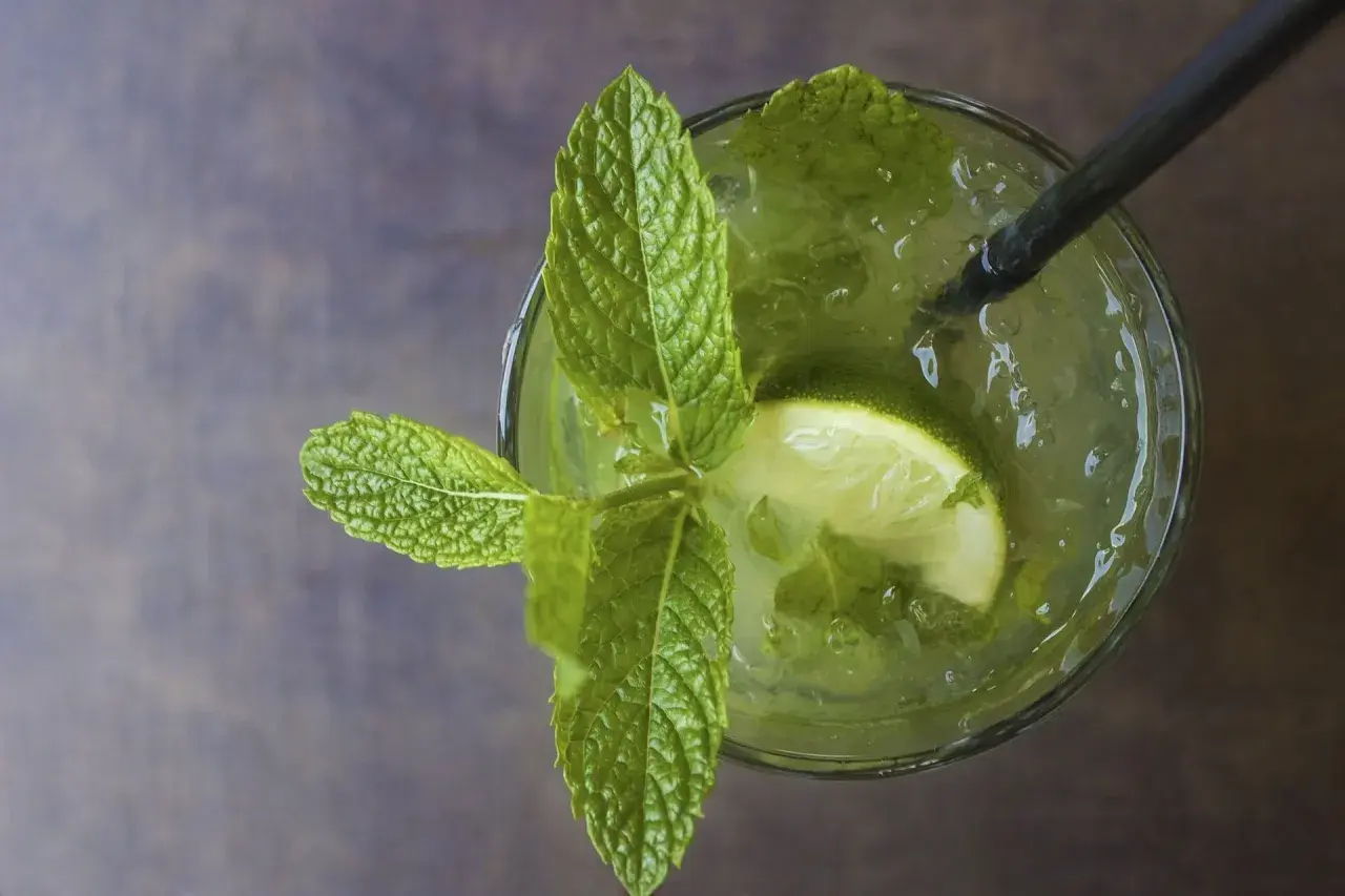 Erfrischender Mojito mit Limette, Minze und Mojito Rum. Ein perfekter Sommerdrink.