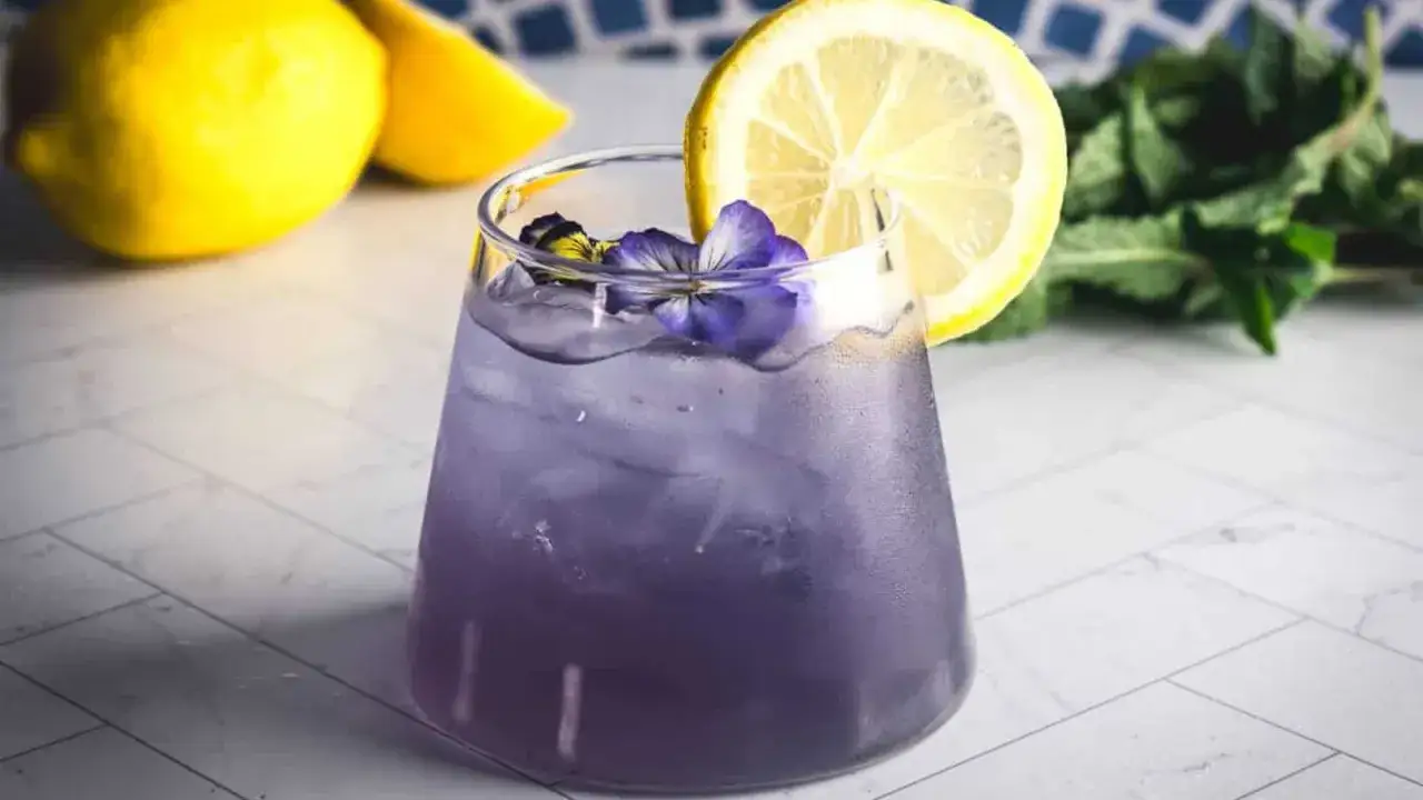 Ein erfrischender, lila Cocktail mit Eis, Zitronenscheibe und Bl&uuml;te. Perfekt f&uuml;r einfache Cocktails an einem warmen Tag.