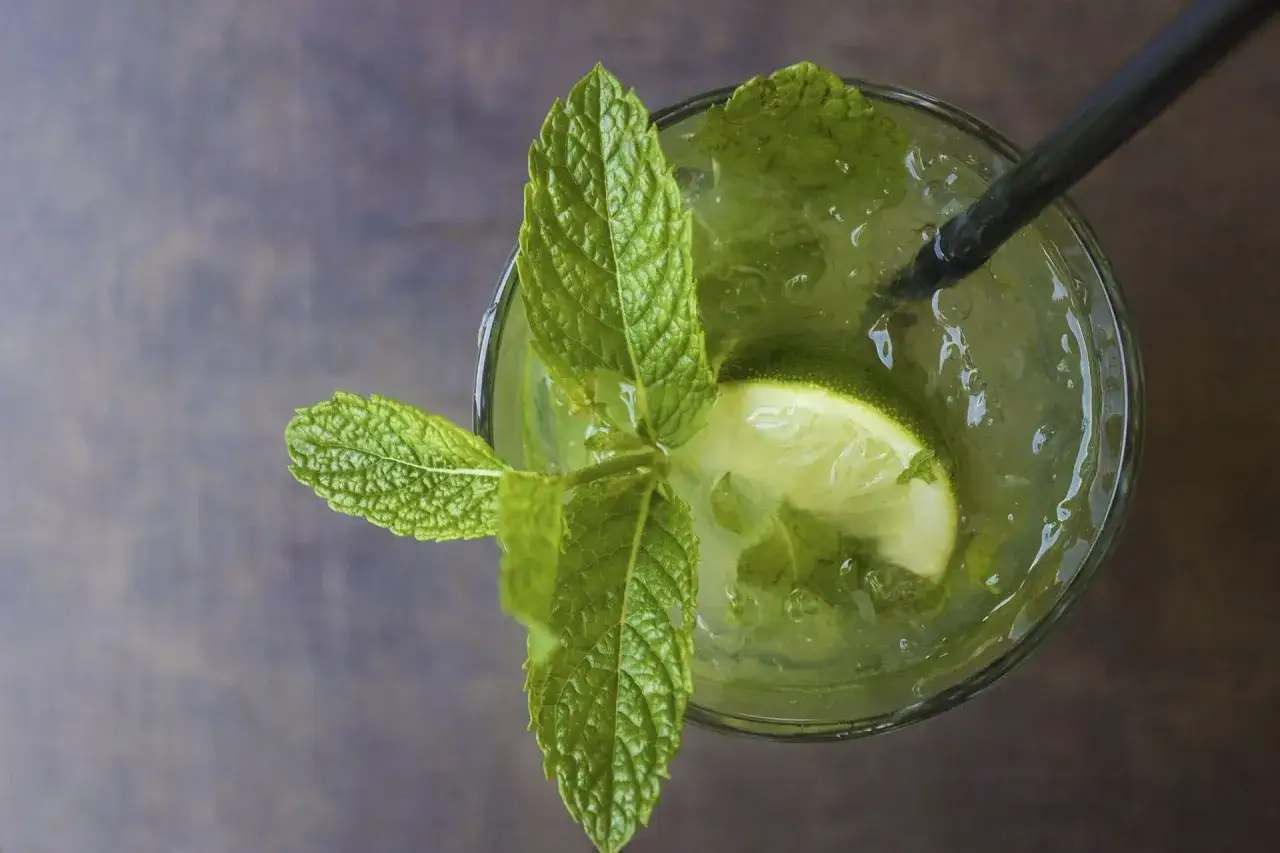 Erfrischender Mojito mit Limette und Minze, der beste Rum f&uuml;r Mojitos macht ihn perfekt.