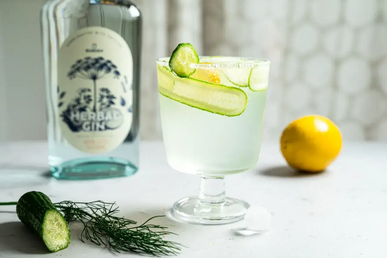 Erfrischender Gin mit Gurke, Zitrone und Dill. Eine Flasche Herbal Gin steht daneben.