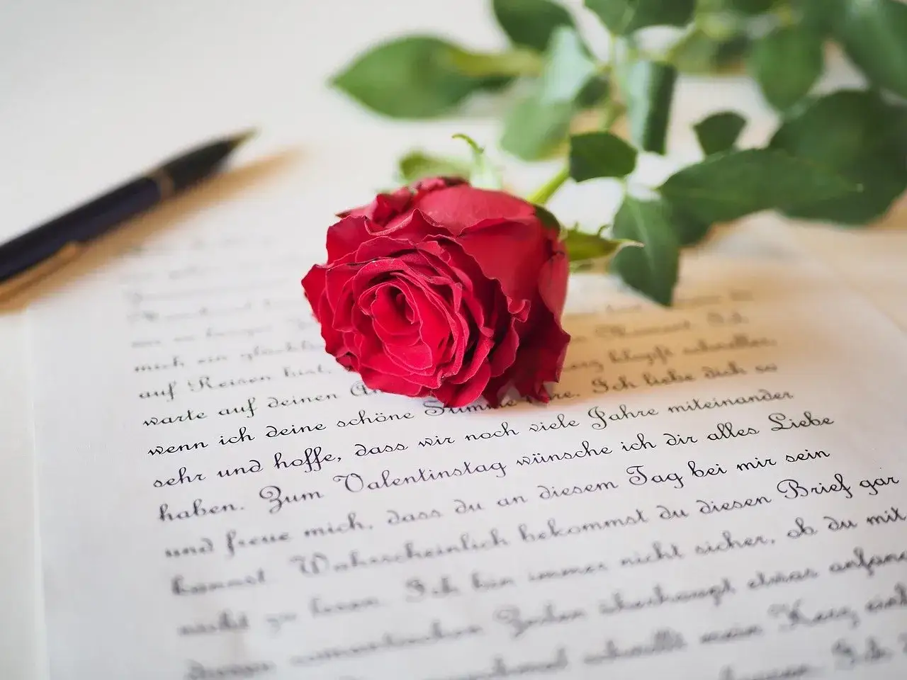 Eine rote Rose liegt auf einem Liebesbrief, der mit einer Feder geschrieben wurde. Perfekt für das Basteln eines Liebesbriefs.